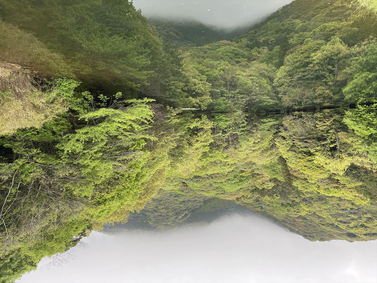 ◆新池(小倉南区)