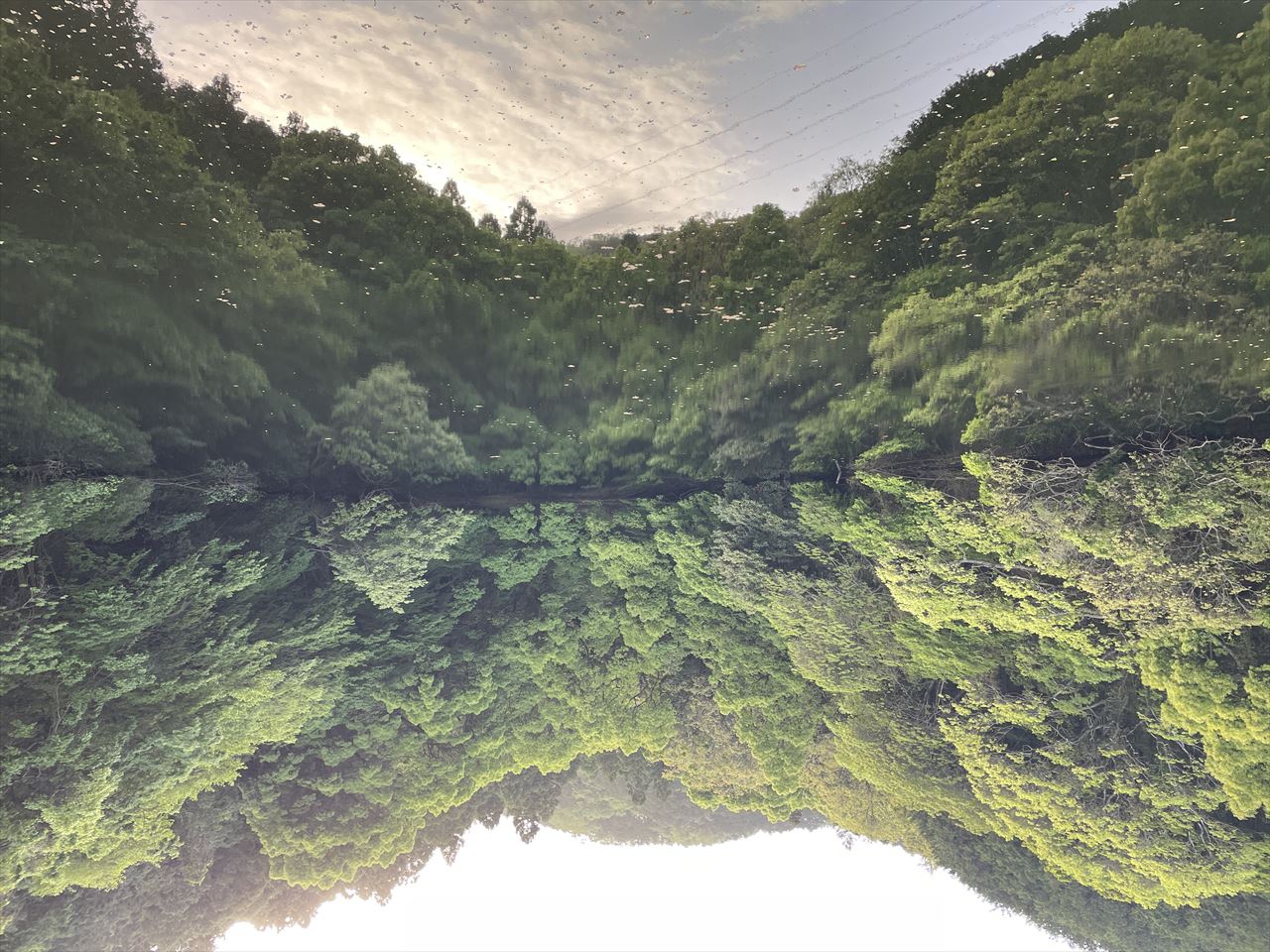 ◆下柳坂池(須恵町)