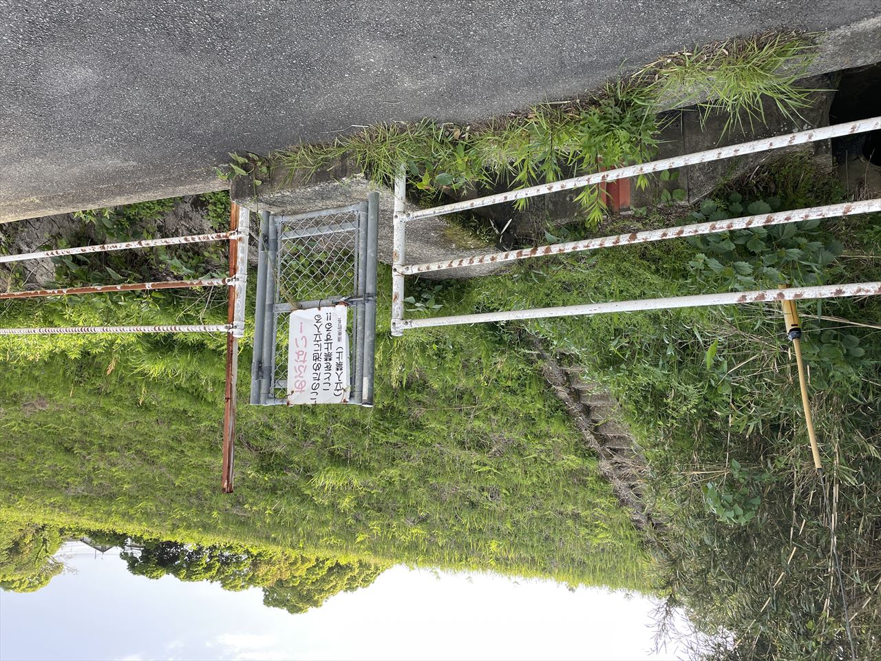 ◆新城山池(須恵町)