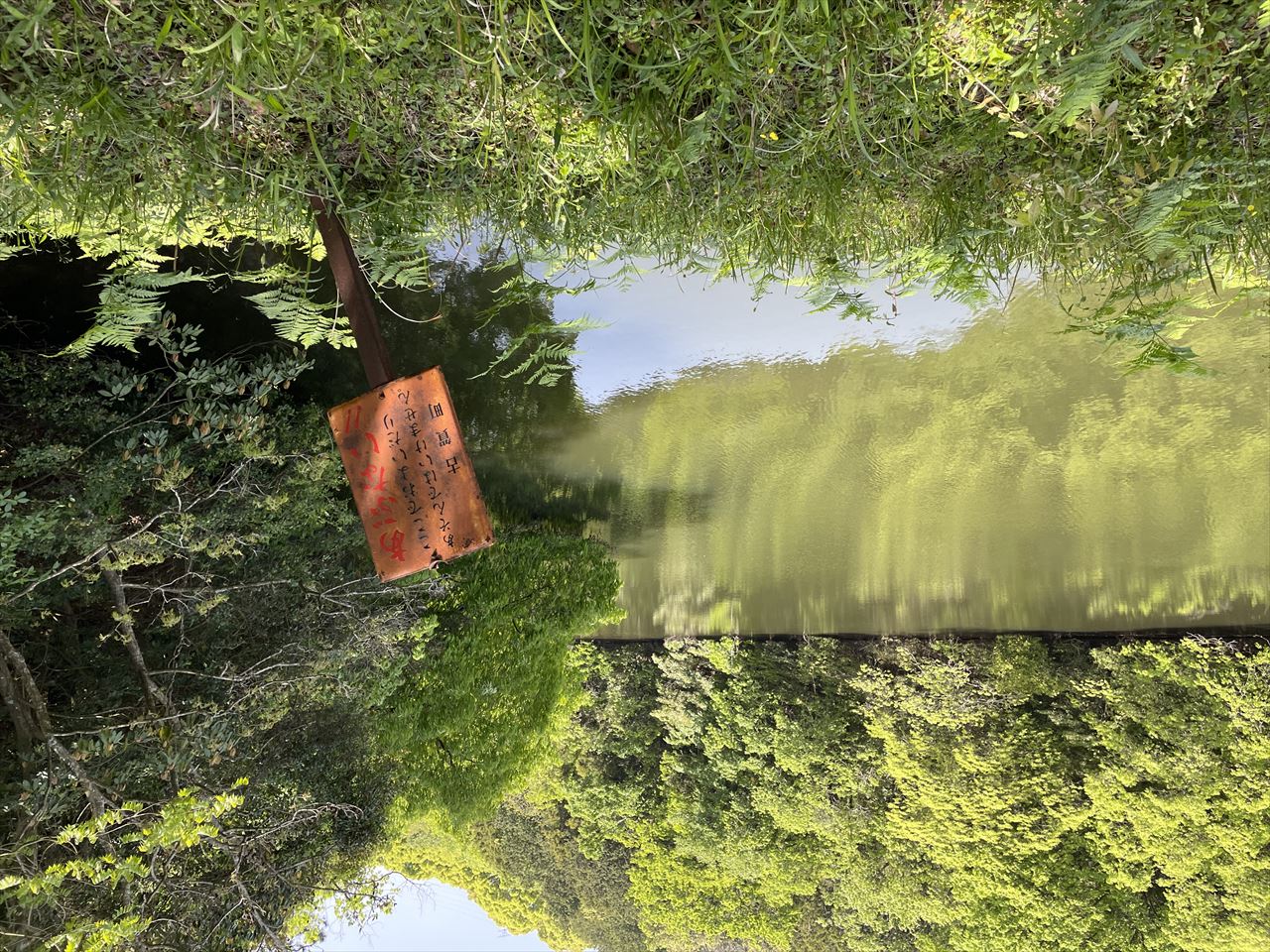 ◆砥石ヶ浦小池