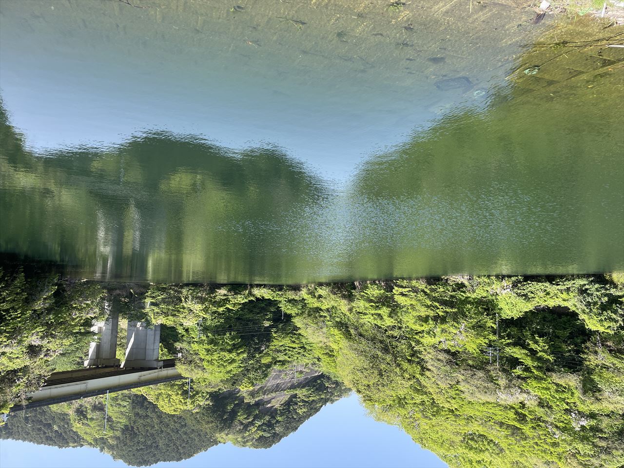 ◆新溜池(本木)