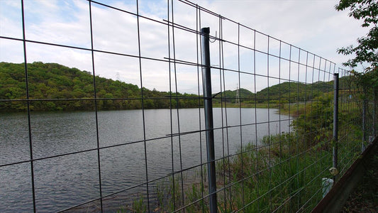 上池（上荘町薬栗）