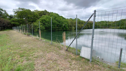 新池（桑原田町）