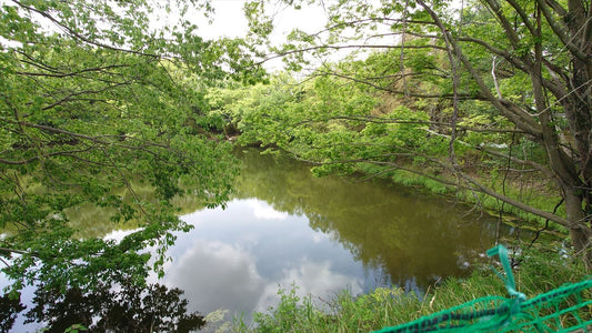金玉池（東古瀬）