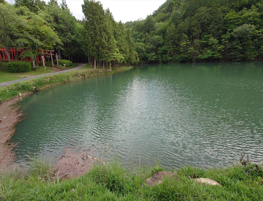 福谷下池（黒田庄）