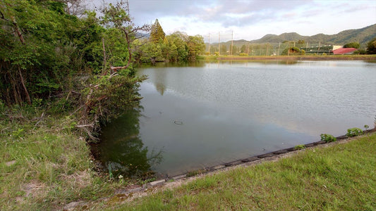 野瀬池（上比延町）