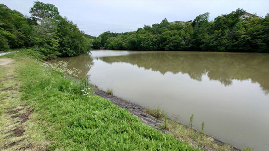 坂谷口池（下久米）