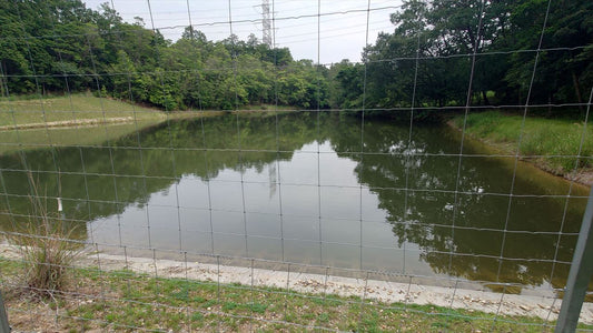 新池（西脇平野）