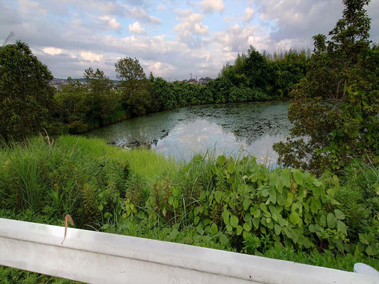 中ノ池（池野尻）