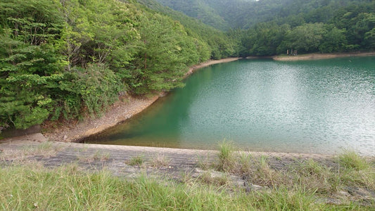 水木谷池（下野間）
