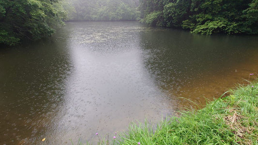 谷の上池（糀屋）