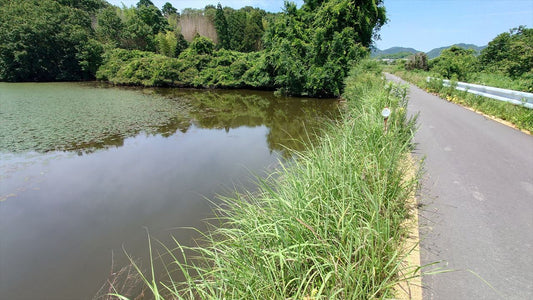 大蔵池（池上町）