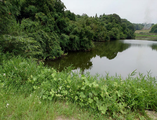 今谷下池（高山）
