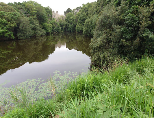 バッチ池（柳澤戊）