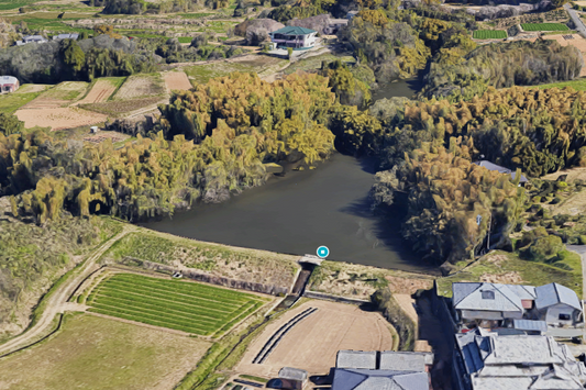 蓮ノ下池（長洲町）