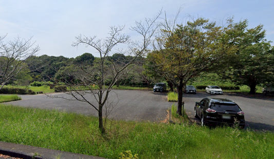 赤田池（野原）