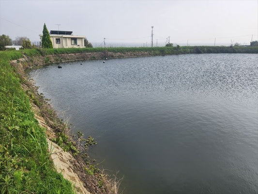 大田池(おおだいけ)