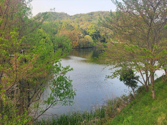 棚原大池 (たなばらおおいけ)