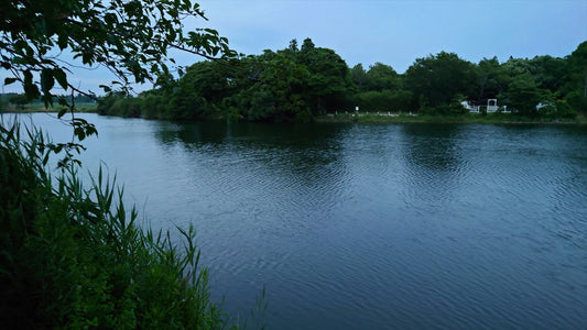 鵜沼堰