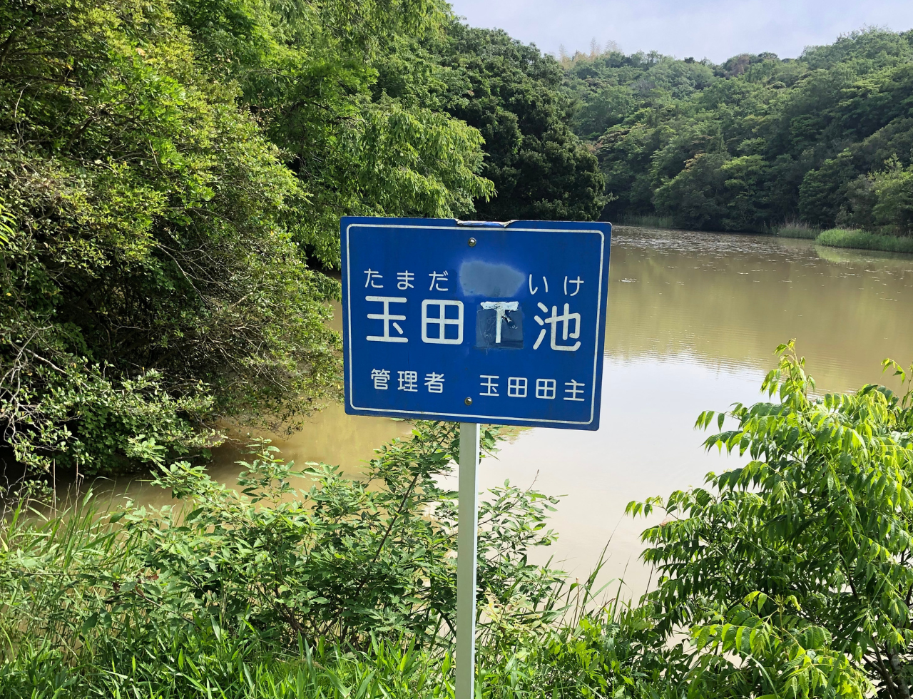 ◆玉田上池
