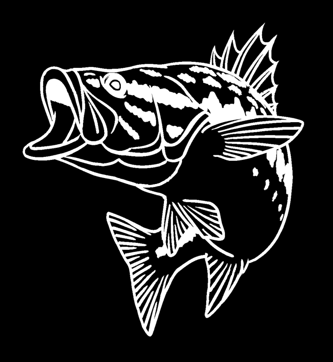 テスト 新プラン100 BASSFIELD