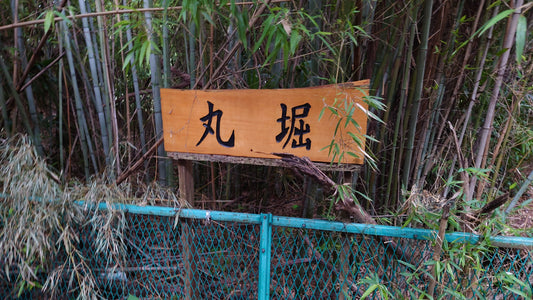 丸堀（西遊馬）