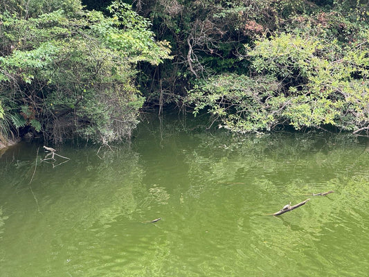 上池（三永水源池）