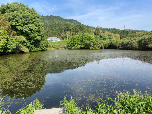 若林池（三大寺）
