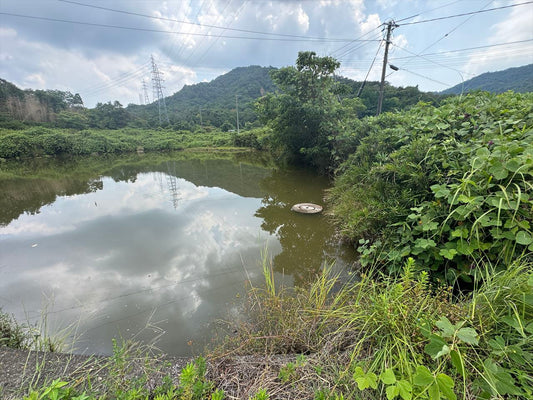 金森池