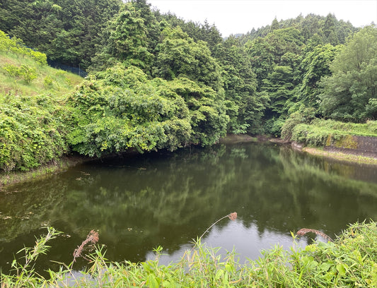 馬場池