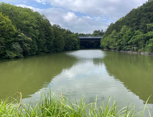 山口池（近内町）