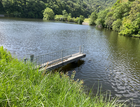 白岩池（貴志川町尼寺）