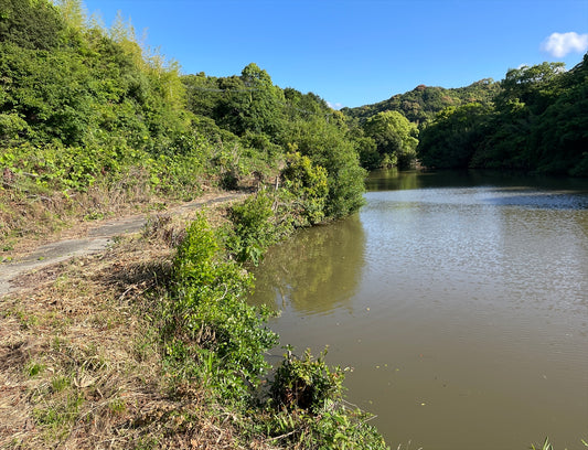 三ツ池（北塩屋）