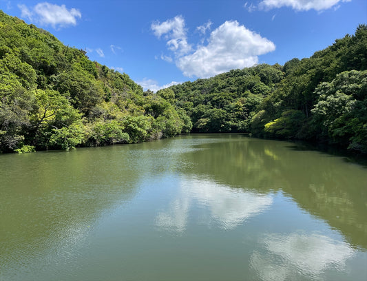 長性谷池