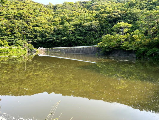 笹谷池（八木寺内）