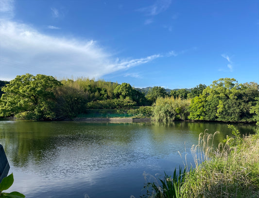 新池（藤田町吉田）