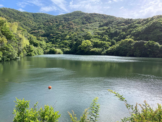 奥山池（萩原）