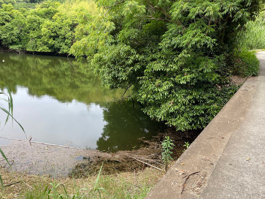 新池（吉川長山）