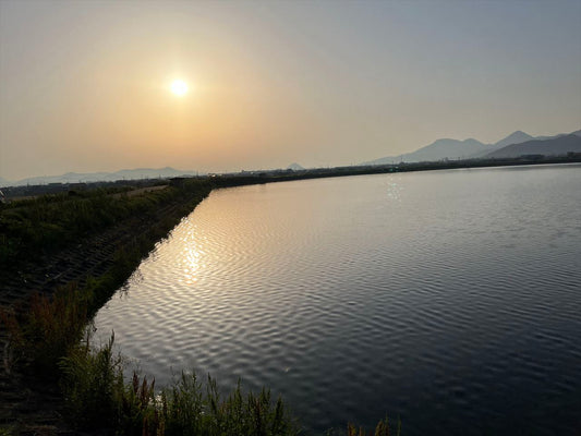 買田池（与北町 ）