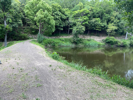 大谷上池（大谷）