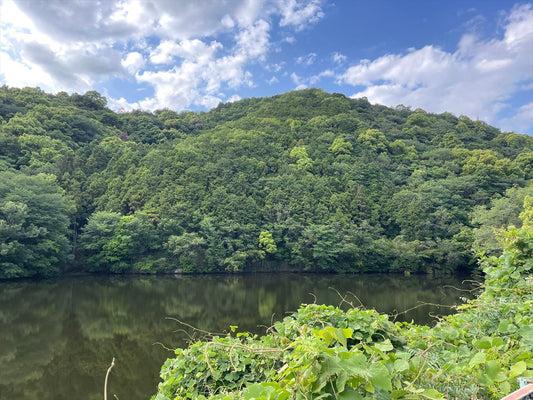 柳谷池（園部）