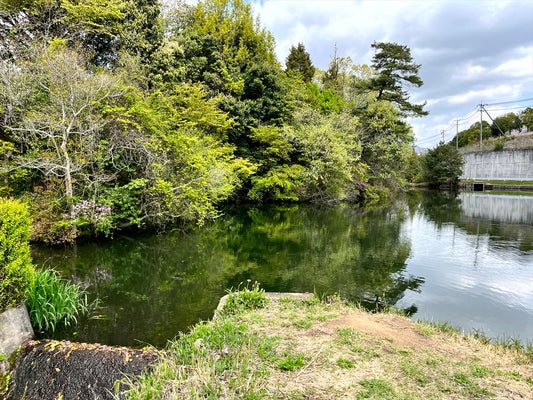 中新池（西条町寺家）