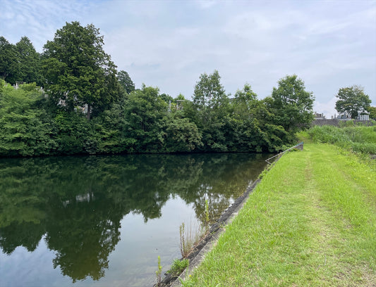 新池（西高倉）