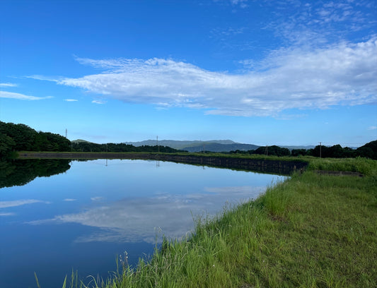 美田の原亀井池