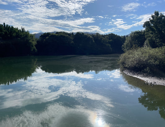 新池（伊賀川東）