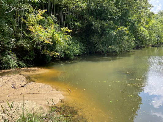 不動川砂防公園池