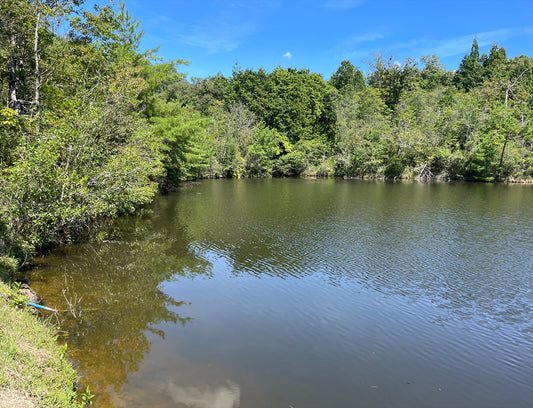 新池（上林大澤）