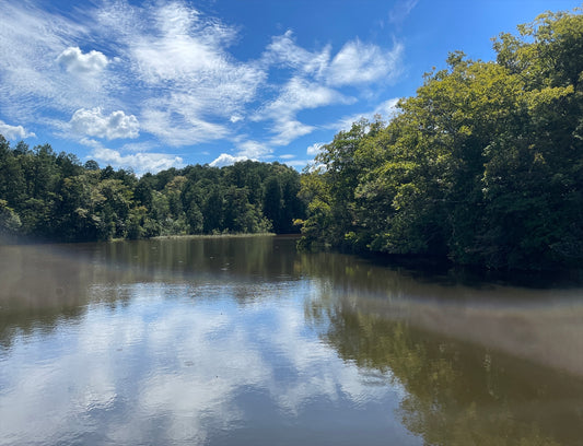 大沢池（上林大澤）