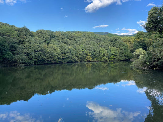 泥池（柳本町）