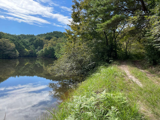 大沢池（下友田）